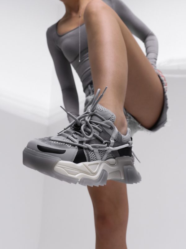 Ant Silver Gray